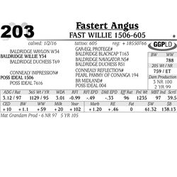 Lot 203 - Fast Willie 1506-605