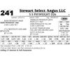 Image 1 : Lot 241 - S S Payweight D26