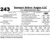 Image 1 : Lot 243 - S S Innovation D63