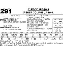 Lot 291 - Fisher Columbus 6104