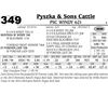 Image 1 : Lot 349 - PSC Windy 621