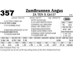 Lot 357 - ZA Ten X G6157