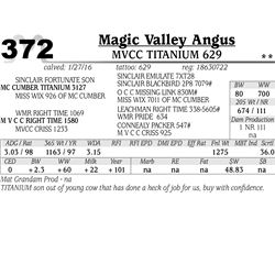 Lot 372 - MVCC Titanium 629