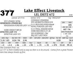 Lot 377 - LEL Dietz 672