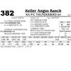 Image 1 : Lot 382 - KA P/C Thunderbird 64