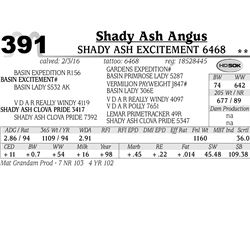 Lot 391 - Shady Ash Excitement 6468