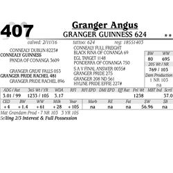 Lot 407 - Granger guinness 624