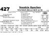 Image 1 : Lot 427 - Younkin Belle Boy 6138