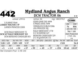 Lot 442 - DCM Tractor 06