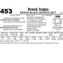 Lot 453 - Brand Black Granite 6017