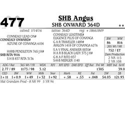 Lot 477 - SHB Onward 364D