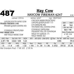 Lot 487 - Haycow Fireman 6247