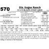 Image 1 : Lot 570 - D A R Blazin Start Q800