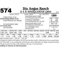 Lot 574 - D A R Hindquarter Q804