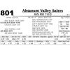 Image 1 : Lot 801 - AVS MR 711D