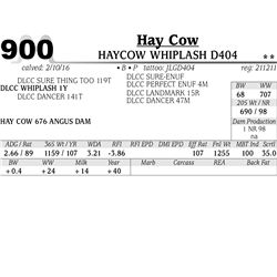 Lot 900 - HAYCOW WHIPLASH D404