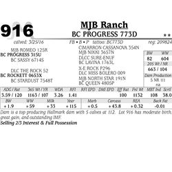 Lot 916 - BC PROGRESS 773D