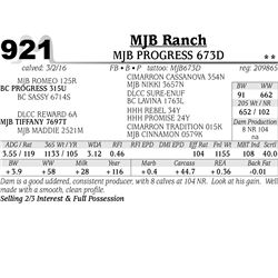 Lot 921 - MJB PROGRESS 673D