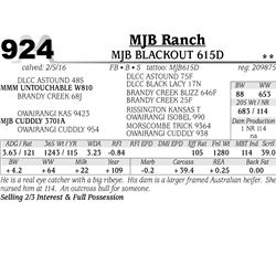 Lot 924 - MJB BLACKOUT 615D