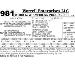 Lot 981 - WORR 67W AMERICAN PROUD 9D ET