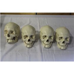 LOT OF DECORATIVE SKULLS