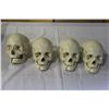 Image 1 : LOT OF DECORATIVE SKULLS