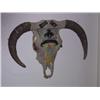 Image 1 : Indian Painted Cow Skull