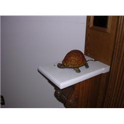 Turtle light