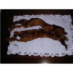 Vintage mink collar chasing tail