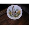 Image 1 : ND Centennial Plate w/pheasant