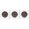 Image 2 : A trio of nicer Br 910. 1843 Halfpennies.