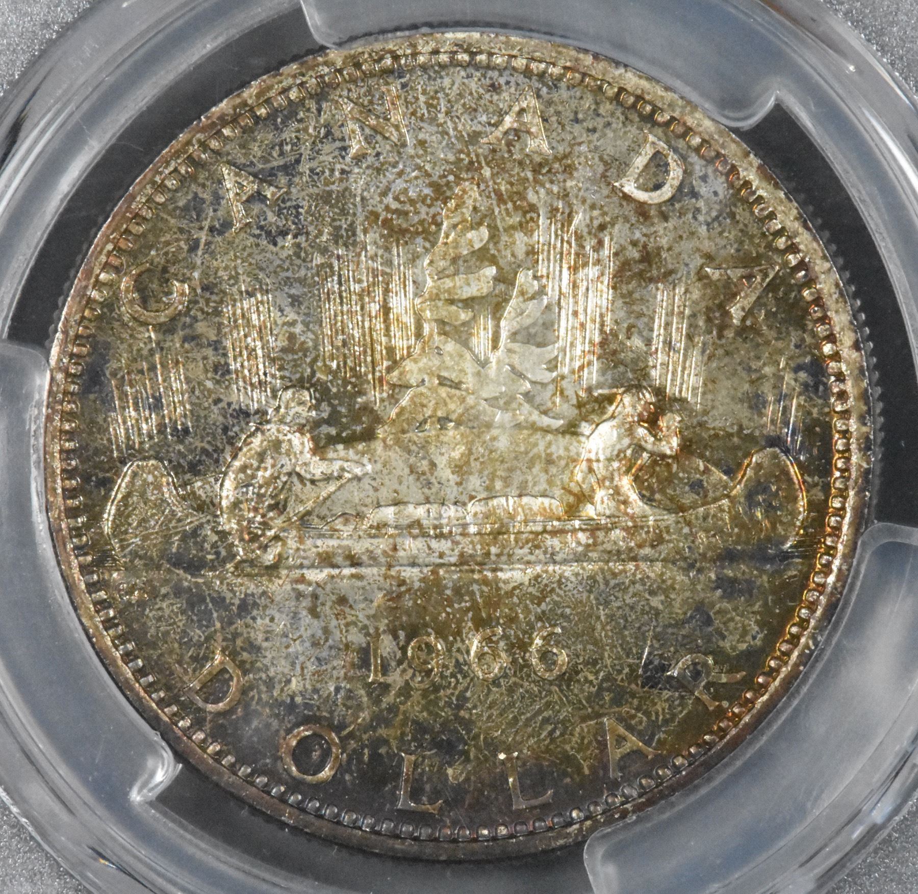 1966 Silver Dollar