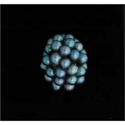 LADY'S 14KT PEARL CLUSTER RING