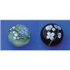 Image 1 : TWO ORIENT & FLUME PAPERWEIGHTS