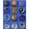 Image 1 : TWELVE ART GLASS PAPERWEIGHTS