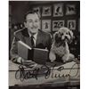 Image 2 : Walt Disney
