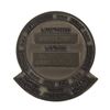 Image 2 : STS-102 Robbins Medal