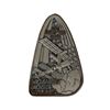 Image 1 : Expedition 2 Robbins Medal