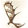 Image 1 : Gorgeous Faux Moose Antler Decorator