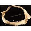Image 1 : Shark's Mouth