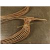 Image 2 : Lot of 2 Saguaro Skeletons