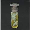 Image 1 : ENGLISH CAMEO SCENT BOTTLE