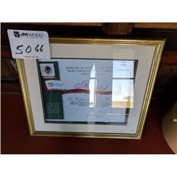 (1) framed award