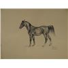 Image 3 : Nancy McLaughlin Powell, 3 original drawings, 9" x 12"