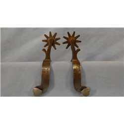 Crockett silver mtd button spurs