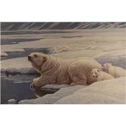Robert Bateman, Polar Bear & Cubs, signed print, 16"x 25", framed, 1978, 27/950