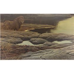 Robert Bateman, African Lion, signed print, 16"x 25", framed, 1979, 528/950