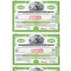 Image 1 : Consolidated Edison Company of New York, Inc., 1981 Specimen Registered Bond Strip of 5 Uncut Bonds.