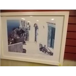 FRAMED PICTURE