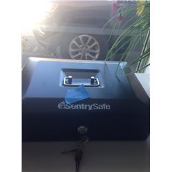 Sentry cash box